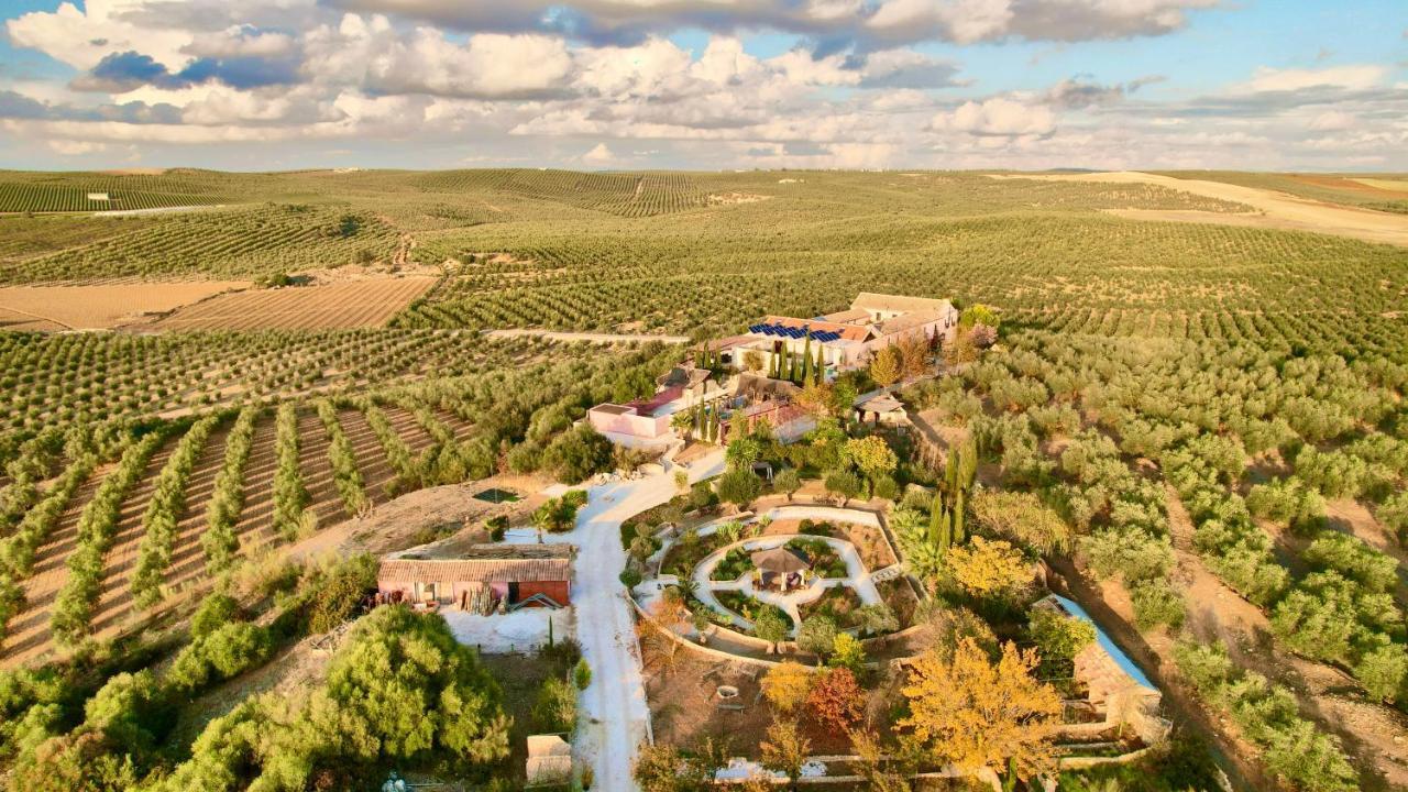 Room In Villa - Beautiful Accommodation At The Heart Of Andalusia Puente Genil Exterior photo
